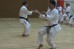 8. S.K.I.F. seminar Kancho Kanazawa, Sensei Nobuaki Kanazawa 2009