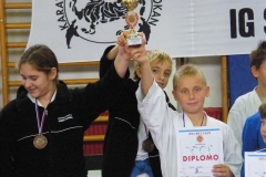 Tekmovanje - Liga - Ig 2011